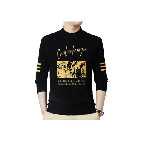 PIERRE CARDIN Мужской Трикотаж