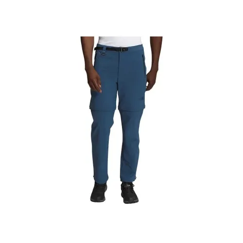 THE NORTH FACE Повседневные брюки Мужские Озерный Синий