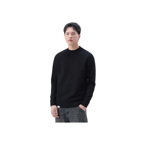 FAIRWHALE Мужские Свитера