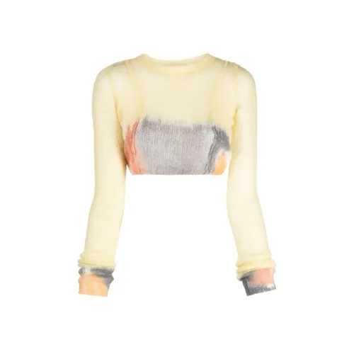 ECKHAUS LATTA Желтые Женские Свитеры
