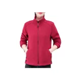 6699 Бордовый