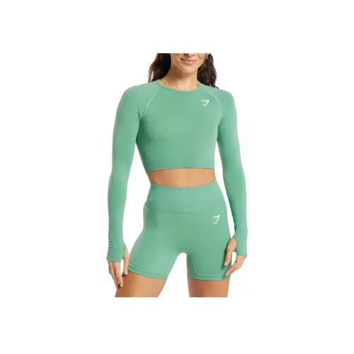 GYMSHARK Лагуна Зеленый/Mudstone Серый Женские T-рубашки