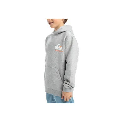 Quiksilver Серый Школьный возраст Свитшот