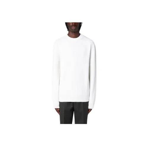 Ermenegildo Zegna Белые Мужские Свитера