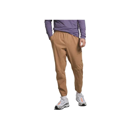 THE NORTH FACE Хаки Мужские Повседневные Штаны