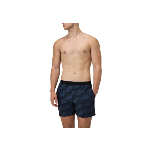 Мужские пляжные шорты Speedo