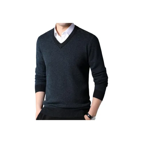 PIERRE CARDIN Мужские Свитера