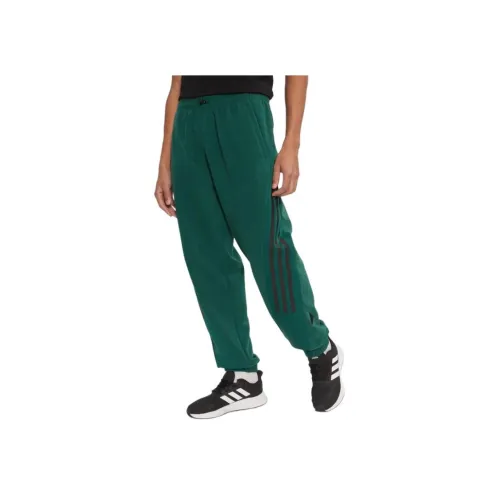 Adidas Вязаные Тренировочные Штаны Мужские Зеленые