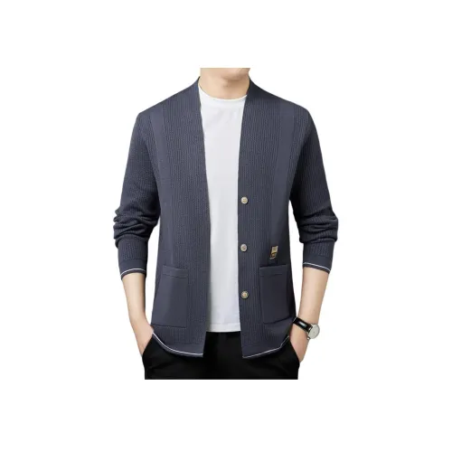 PIERRE CARDIN Мужской Трикотаж