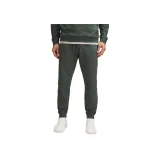 Дымчатая ель