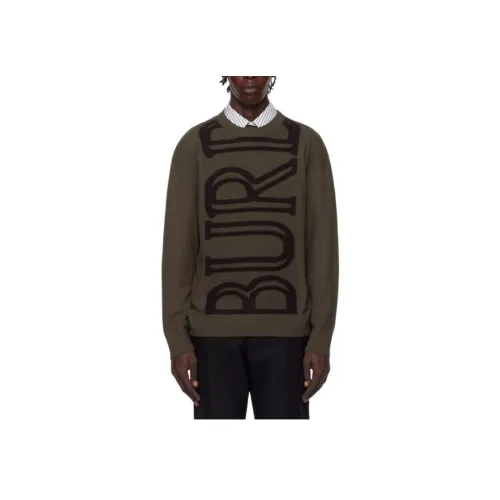 Burberry Коричневые Мужские Свитера