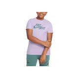 Гортензия Фиолетовая