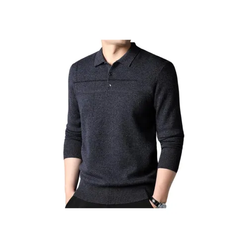 PIERRE CARDIN Мужские Свитера