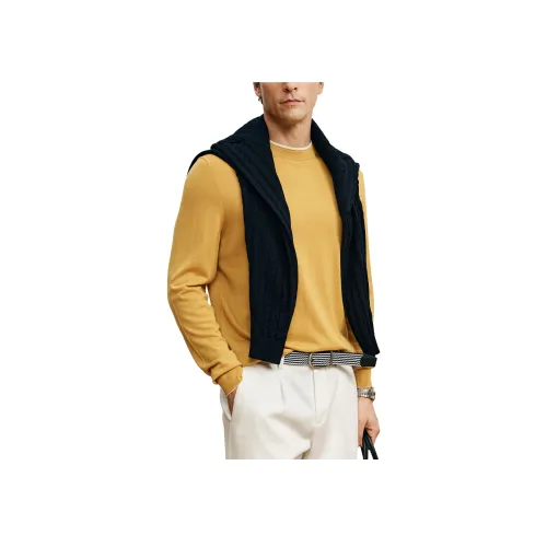 SHENGHE Мужской Трикотаж