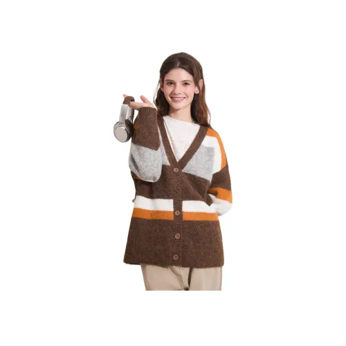 FOREVER 21 Кофейный Серый Полосы Женский Трикотаж