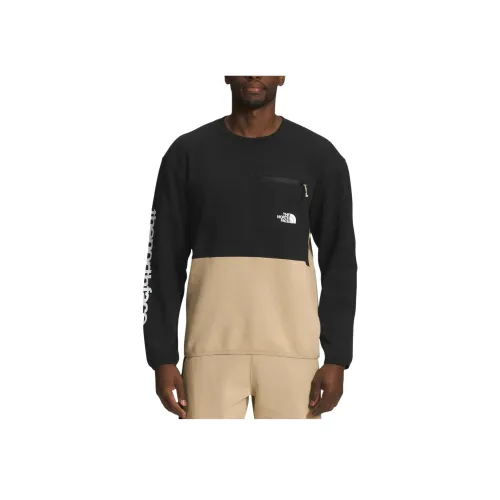 THE NORTH FACE Хаки Мужские Свитшоты