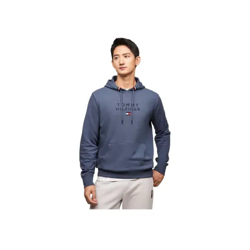 Tommy Hilfiger Haze Синий C9T Мужские Свитшоты