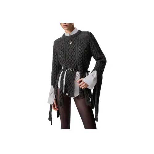 COPERNI FW24 Свитер Женский Серый