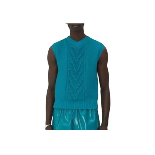 Bottega Veneta Синие Мужские Жилеты