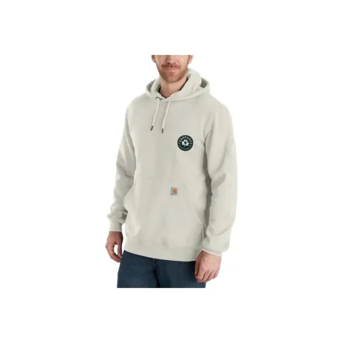 Carhartt 107240 Loose Fit MIDWEIGHT С капюшоном Shamrock Спина Graphic Толстовка Unisex