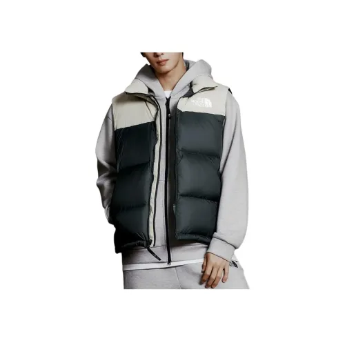 THE NORTH FACE Жилет Мужской Темно-синий