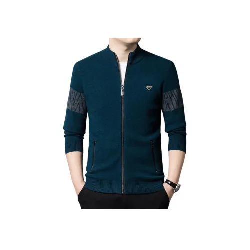 PIERRE CARDIN Мужской Трикотаж