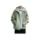 Горох Зеленый