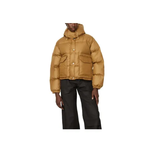 THE NORTH FACE Sierra Down Jacket Women's Practical Brown