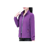 6699 Фиолетовый