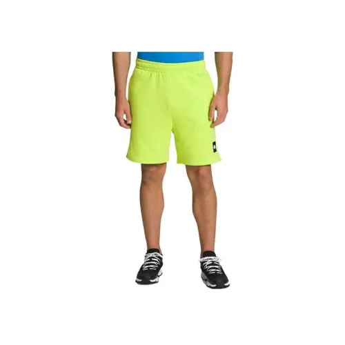 THE NORTH FACE Зеленые Мужские Спортивные Шорты