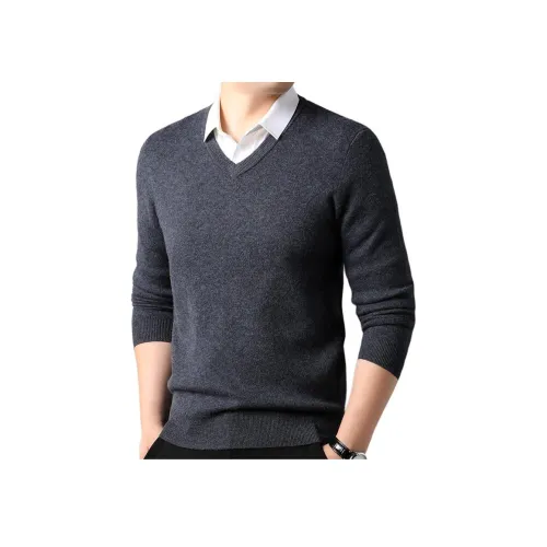 PIERRE CARDIN Мужские Свитера