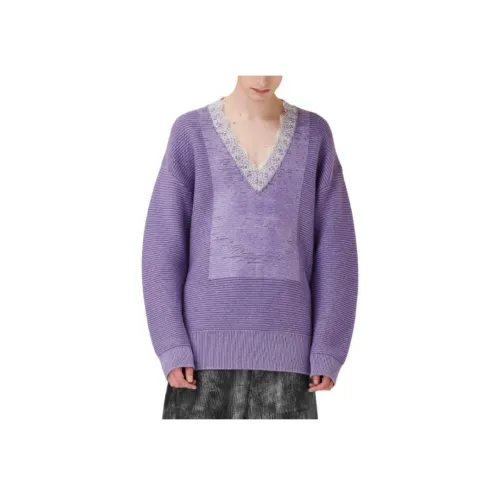 JW Anderson Фиолетовые Мужские Свитера