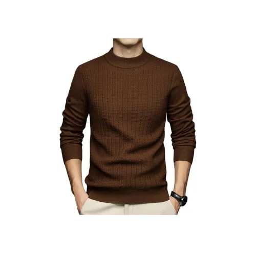 PIERRE CARDIN Мужские Свитера