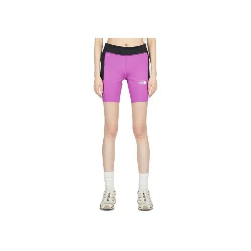 The North Face THE NORTH FACE Apparel Collection Фиолетовые Женские Спортивные Шорты
