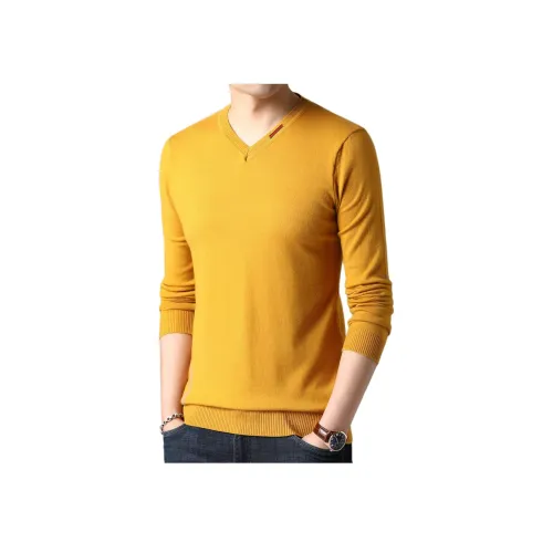 PIERRE CARDIN Мужской Трикотаж