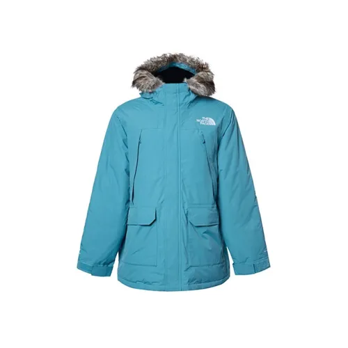 The North Face Синий Мужской Куртки