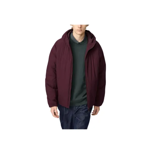 UNIQLO x Clare Waight Keller C Collection FW25 Куртки и пальто Мужской