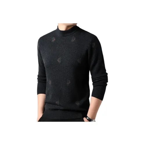 PIERRE CARDIN Мужские Свитера