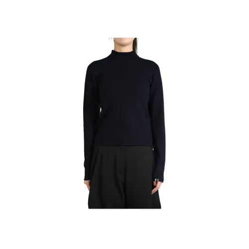 Extreme Cashmere Синий Унисекс Свитеры