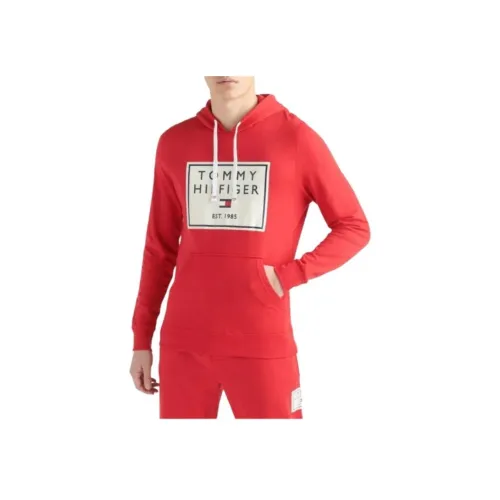 Tommy Hilfiger Толстовка Мужская