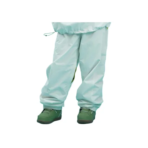 DC Shoes Лыжные штаны Унисекс Белый