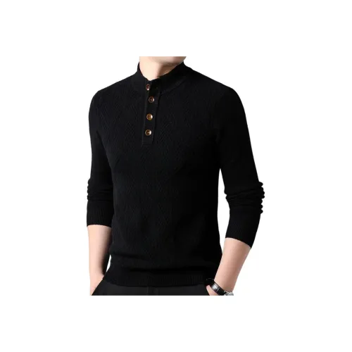 PIERRE CARDIN Мужские Свитера