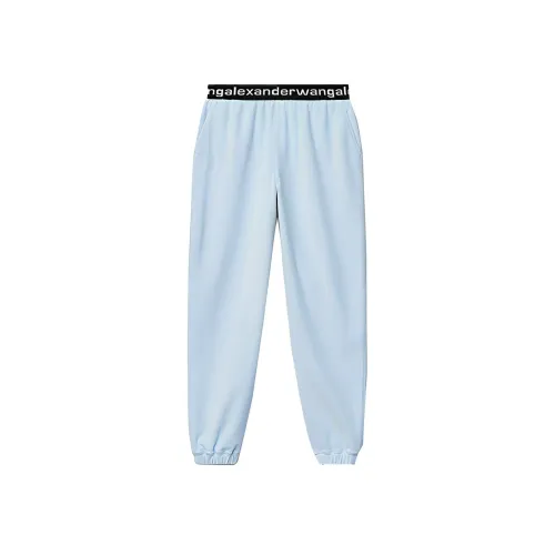 alexander wang Синие Женские Повседневные Брюки