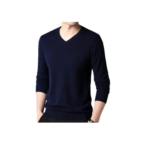 PIERRE CARDIN Мужские Свитера