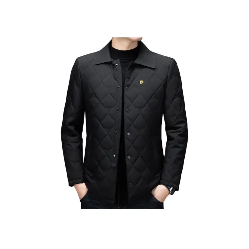 PIERRE CARDIN Мужские пуховики