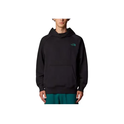 THE NORTH FACE Nse SS25 Толстовка Мужской