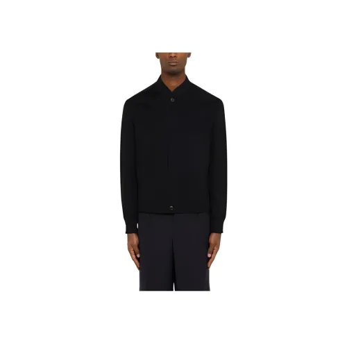 Ermenegildo Zegna Черные Мужские Свитера