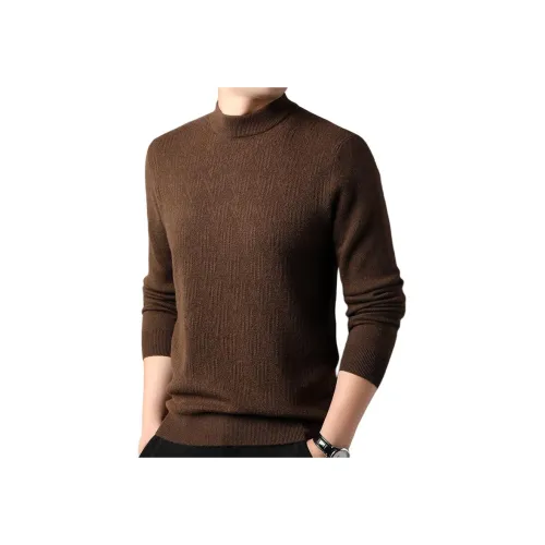 PIERRE CARDIN Мужские Свитера