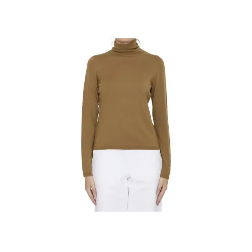 MaxMara Коричневые Женские Свитеры