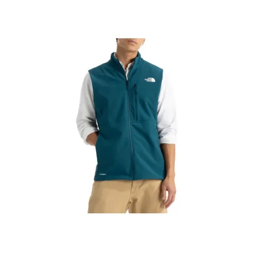 The North Face THE NORTH FACE Apparel Collection Синий Мужской Жилеты